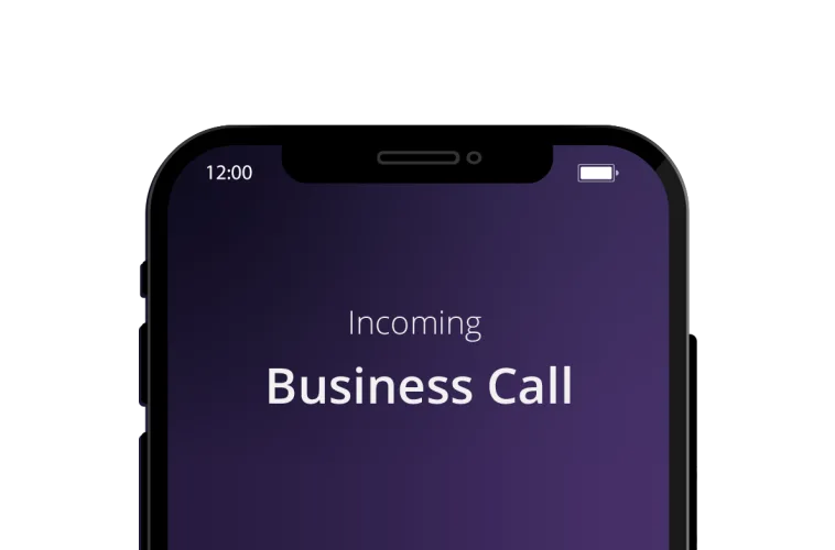 Business Call Phone